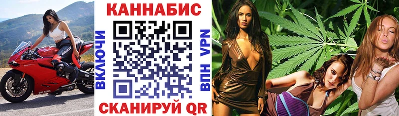 Канабис гибрид  купить наркотик  Гатчина 